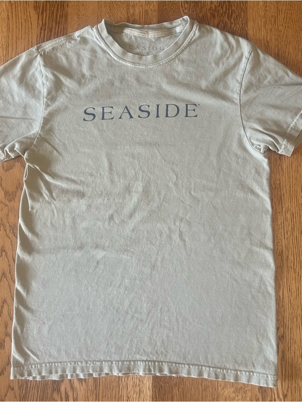 Seaside Short Sleeve Crewneck T-Shirt in Light Gray